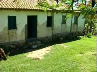 nilton pinto e tom carvalho ( A GALINHA DE JOAO FLOR) PARTE 1