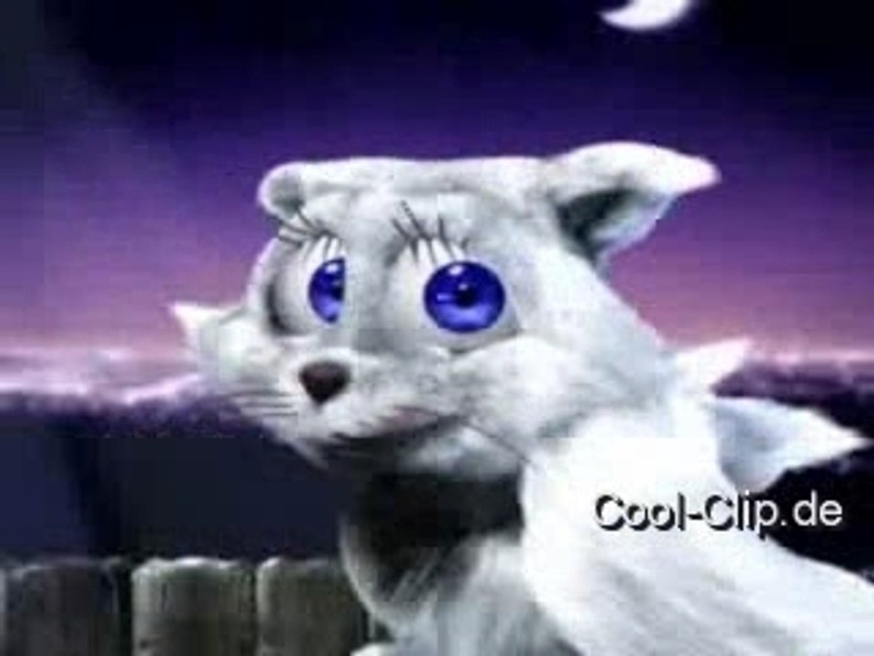 Pussy Cat