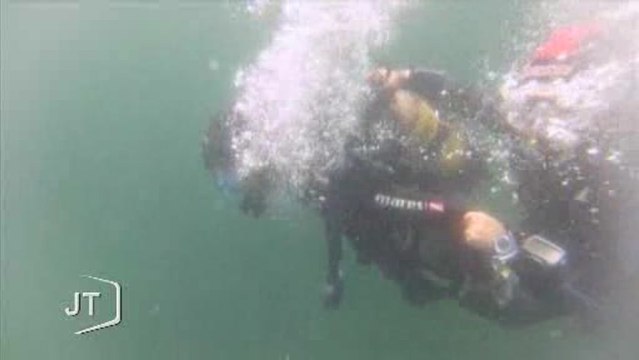 Vacances : La plongée sous-marine à l'Île-d'Yeu
