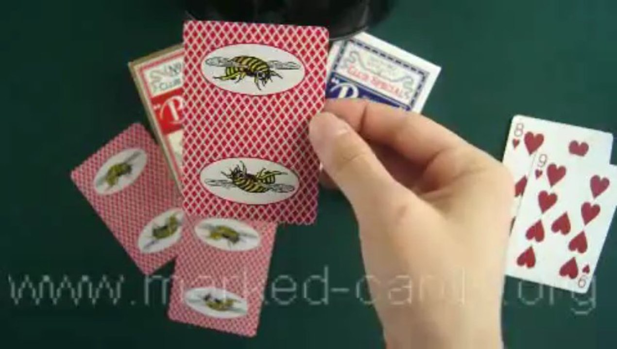 bee on the back