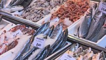 European Fish Stocks Are Becoming More Sustainable