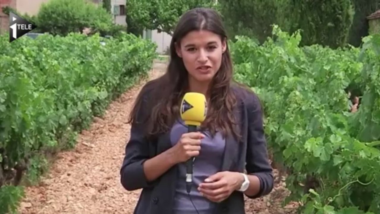 Vacances au milieu des vignobles