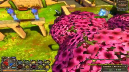 Dungeon Defenders 9) Les jardins des idiots