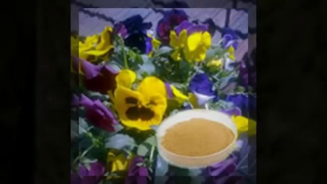 Top supplier for Herbal extracts: vanjex.net