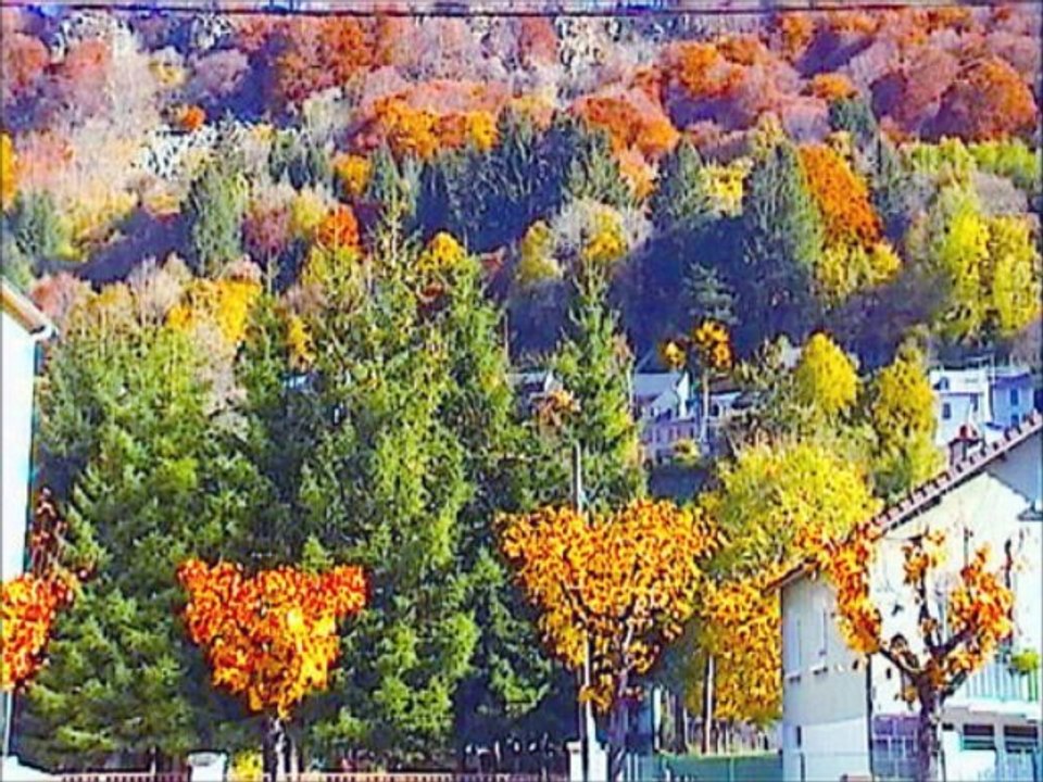 .musique fleurs couleurs