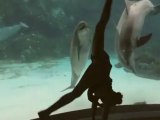 Une fille fait rire un dauphin en réalisant des figures