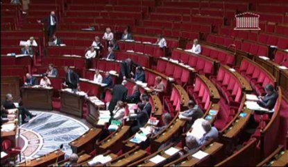 Modernisation de l'action publique territoriale et affirmation des métropoles (suite)