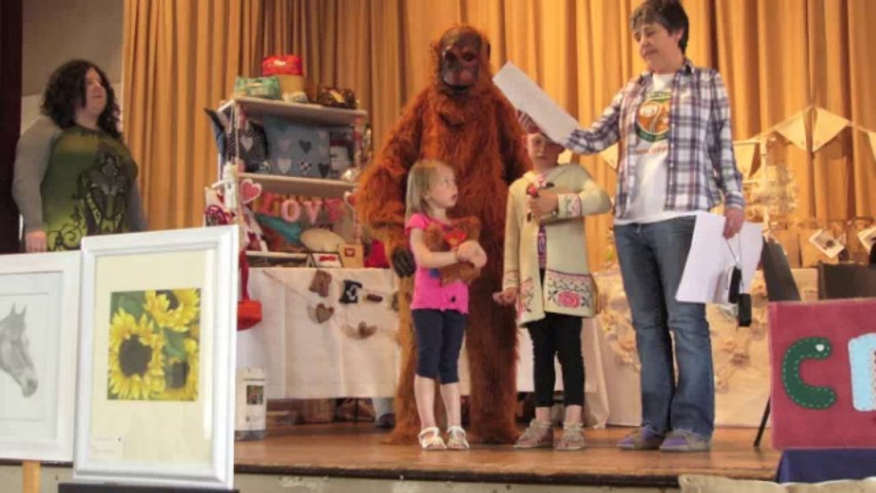 Masham Midsummer Arts Crafts & Collectables Fair Orangutan Protection Foundation Fundraiser