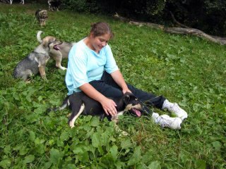 Chiots à placer en famille d'accueil Amis des Bêtes Aix les Bains