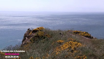 La maison aux 6 cheminées - Gîtes de France - Jobourg