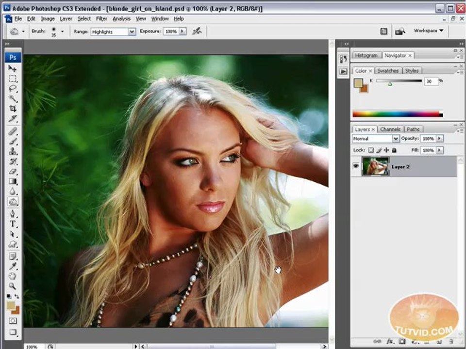 Adobe CS TUT VID-32 selectingHairYT
