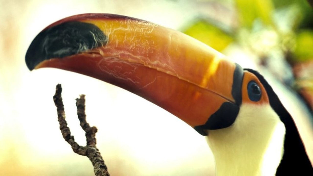 Washed Out - Don't Give Up (Official Video)