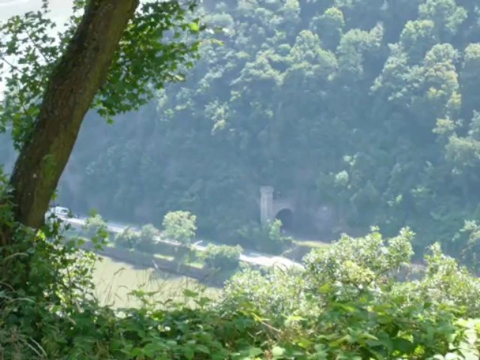 Croisière dans Loreley