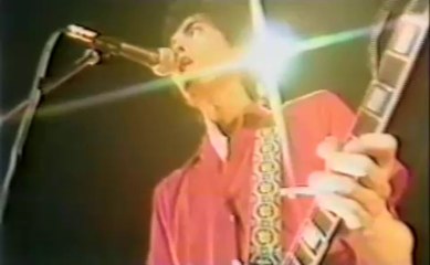 The Roosters　/  She Does It Right