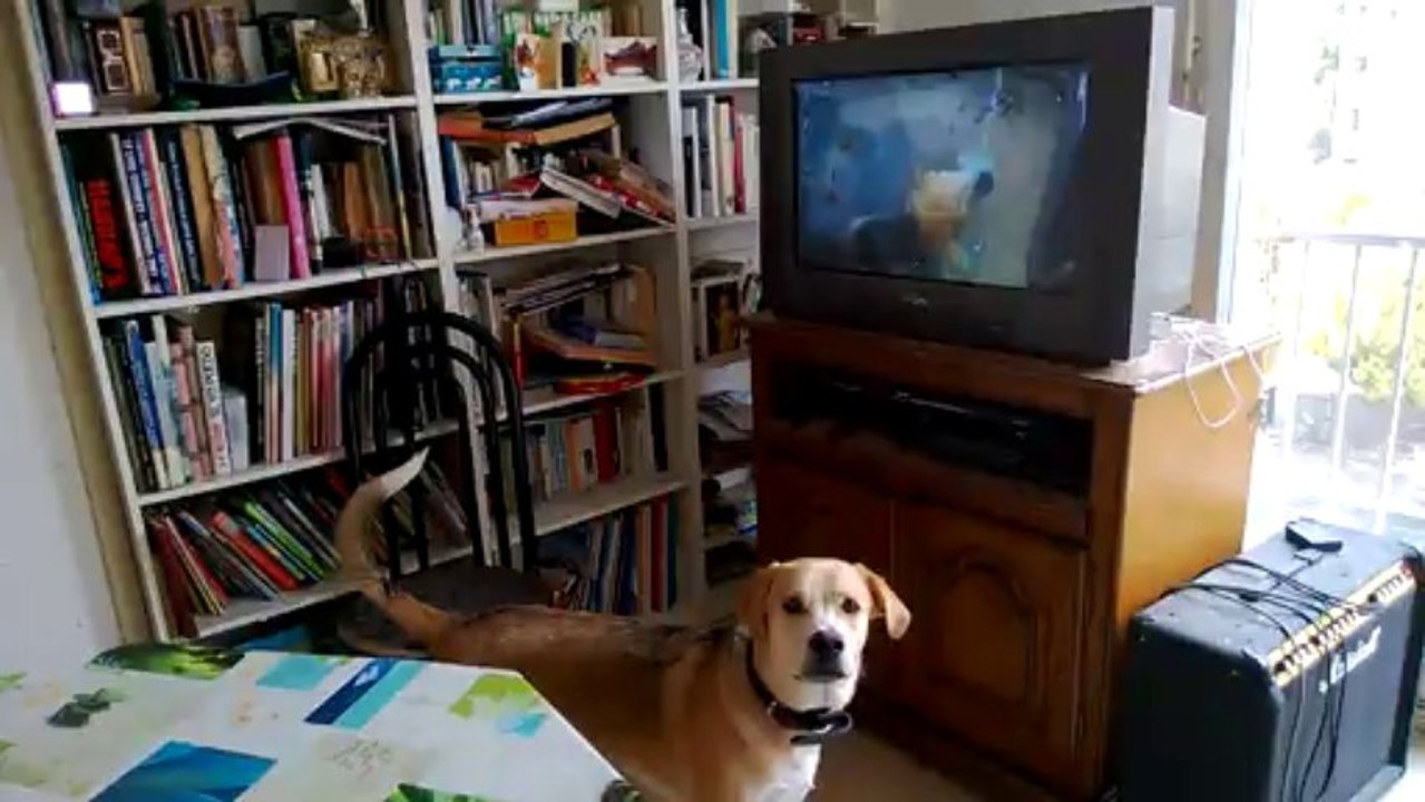 youki abboie sur la tele