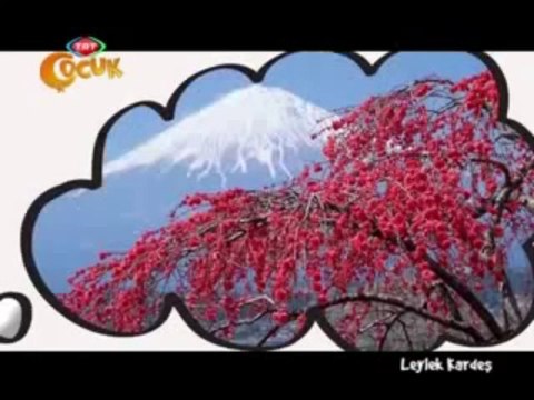 Leylek Kardeş - Çizgi Film - TRT Çocuk - Kirazseverler