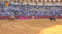 Corrida del 26 de mayo de 2013 en la Maestranza de Sevilla