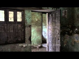 Reconstructing the houses of Srinagar