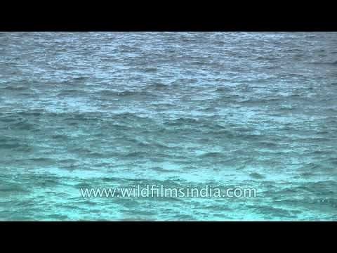 Azure sea seen from a tropical islands: Andamans