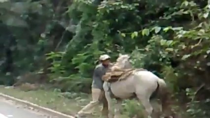 Bebado na serra de Vargem Alta