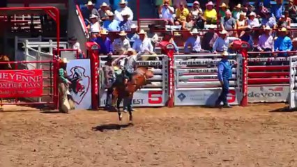 rodéo cheyenne