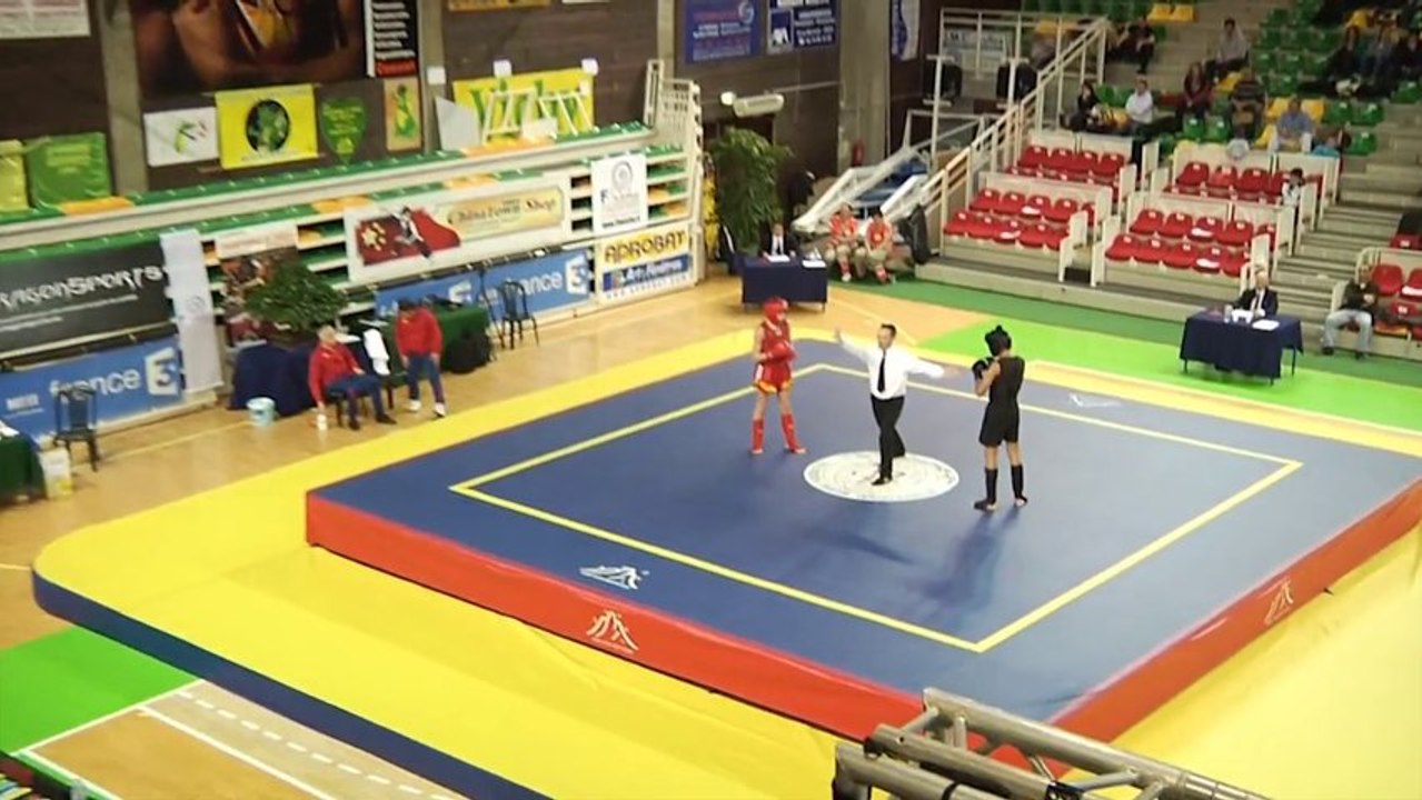 Championnat de France de Wushu sportif 2013 : le reportage