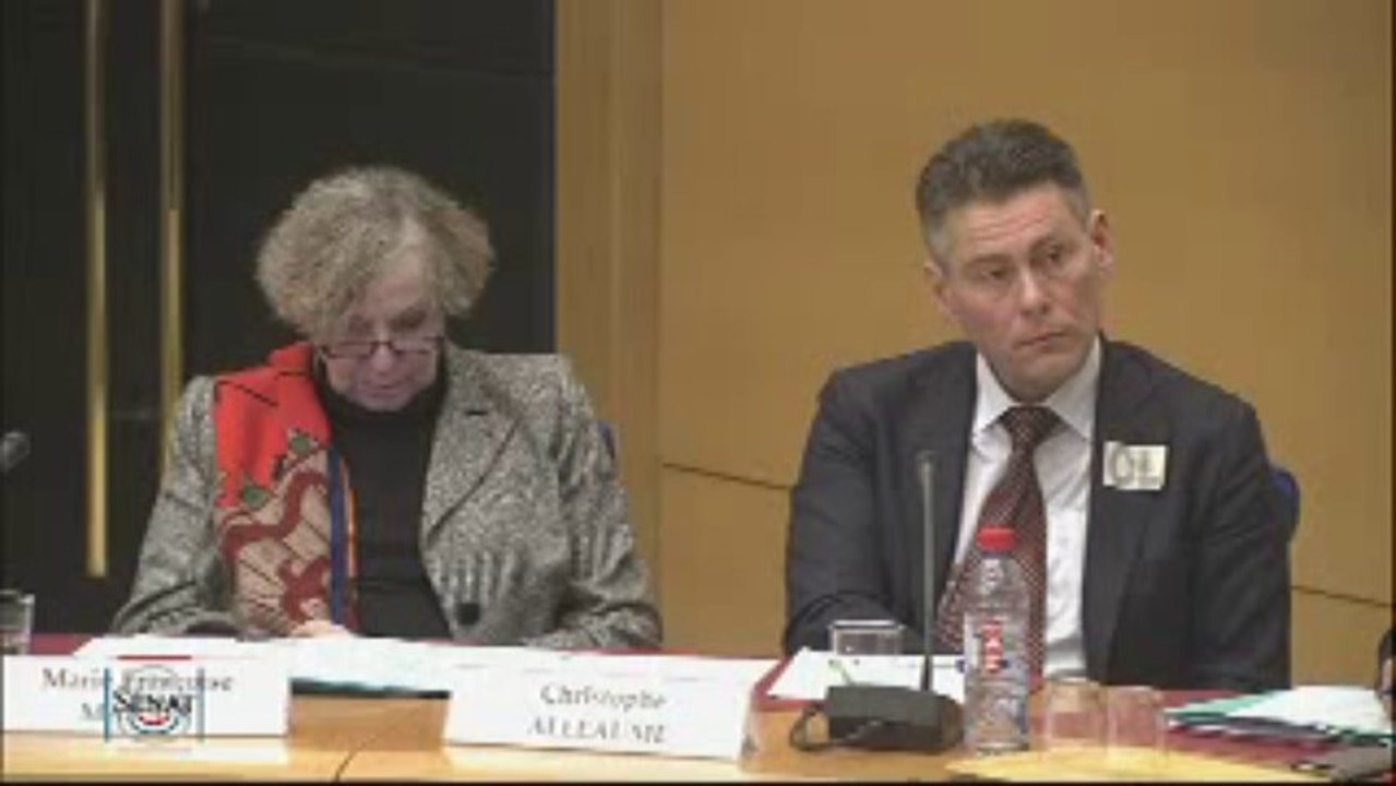 Emmanuel GADAIX responssable Megaupload by GeekdeGeek.fr