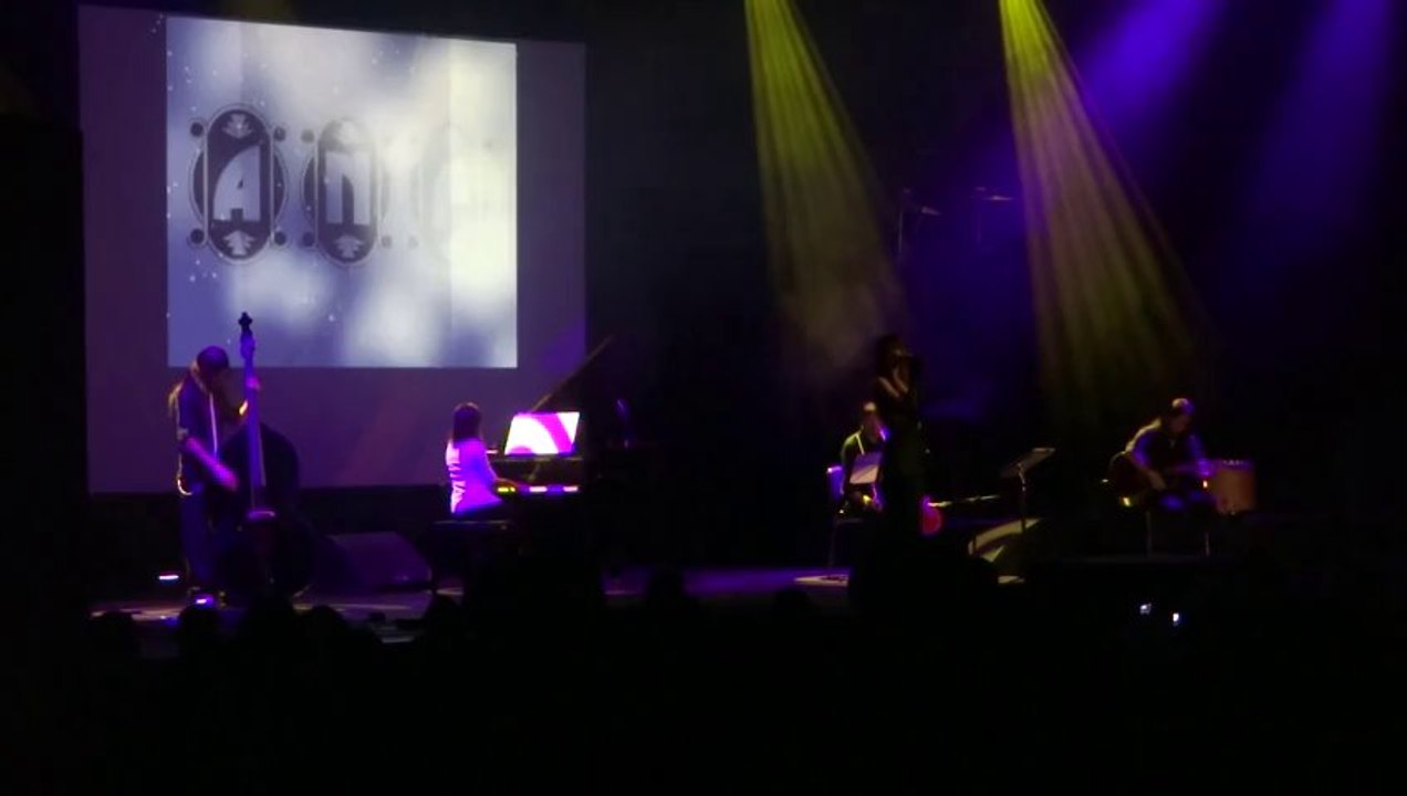 Alice Nerve Fox  Amphifest 2013 (2)