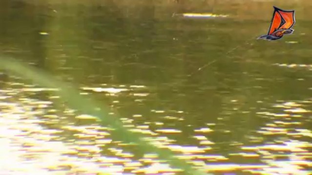 Delalande new video - Micro Jig