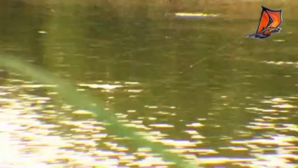 Delalande new video - Micro Jig