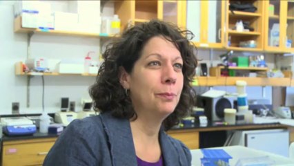 L'Oréal annonce la création d'un conseil scientifique