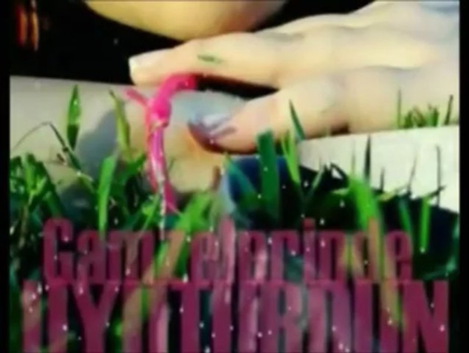 Hayal-Han ft. Heba ft. Dj Engin Akkaya - Senin İçin Herbişeyim