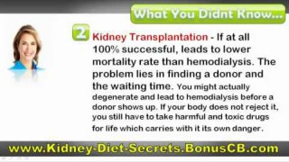 Kidney Diet Secrets Review + Bonus