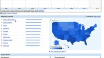 SEO Guru Dallas - GoogleInsights Local Business Keyword Search