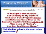 Pregnancy Miracle System Free Download   5 Step Pregnancy Miracle Plan