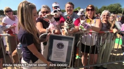 Guinness World Records Day 2010_ Most Dogs in Costumed Dress