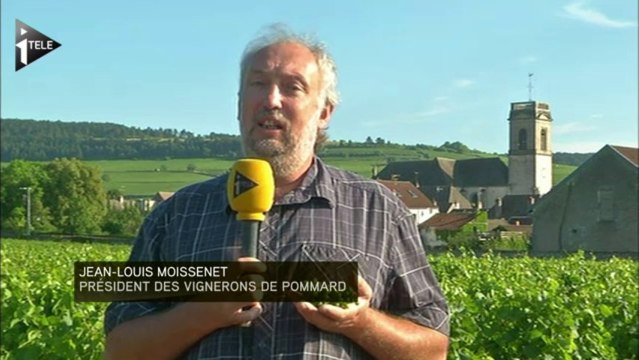 Orages : les vignes de Pommard saccagées par la grêle