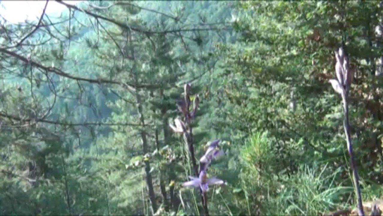 GR20 SUD - ETAPE11 - E CAPANELLE - PRATI