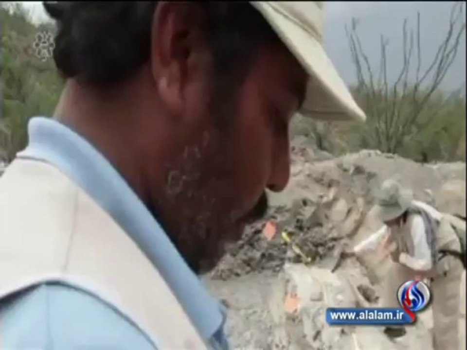 ‫بالفيديو .. اكتشاف بقايا ديناصور ضخم في المكسيك‬