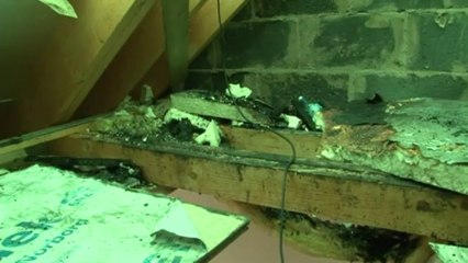 Baby survives house being struck by lightning