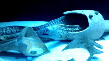 satalbak.com - inşaat malzemeleri - çelik kapı