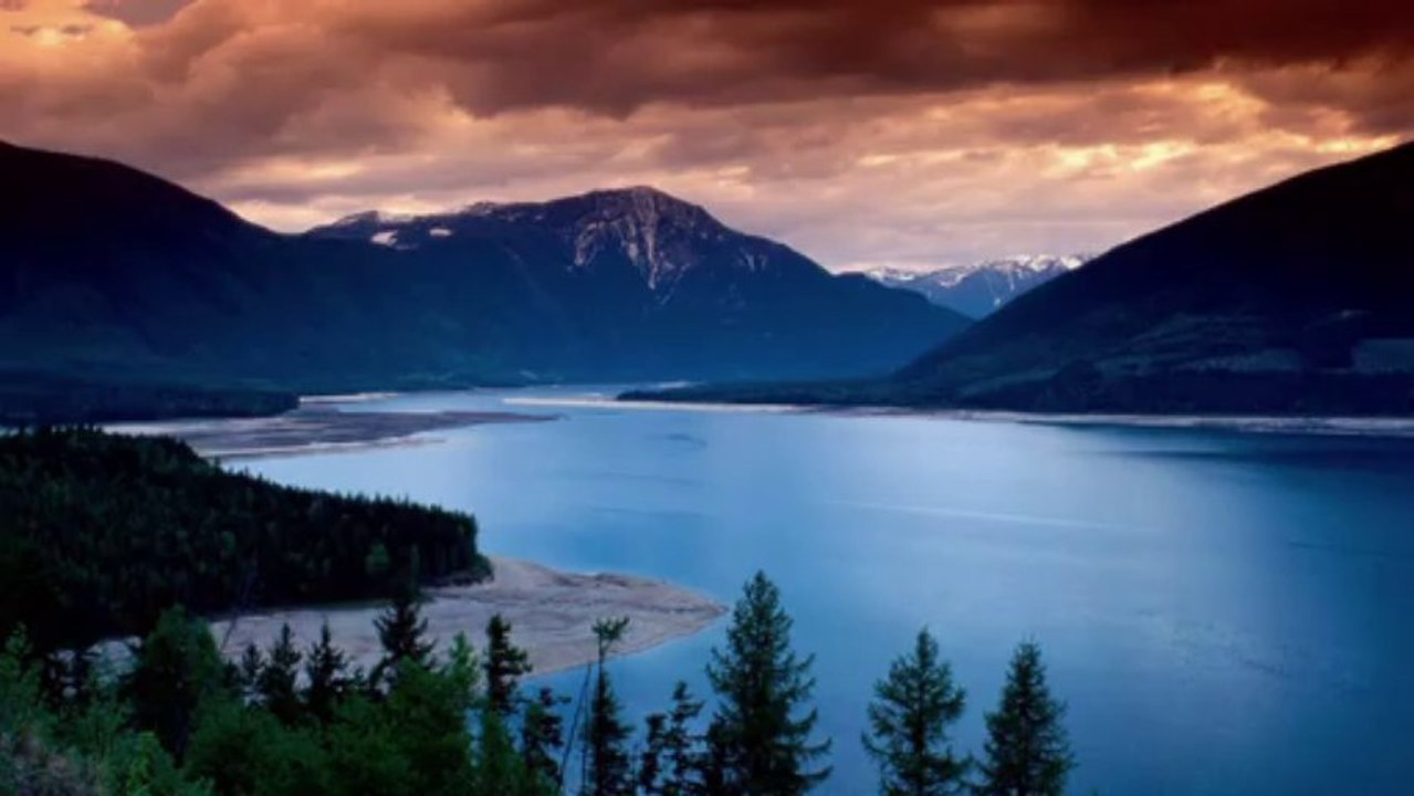 KARDELEN-Nedret GÜVENÇ