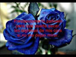 Amig@s  (V1)