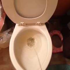 "I'm busy pissing"...but I can pee in the living room ahahaha