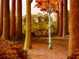 Avez Vous Déjà Vu ?? Les épisodes 31 à 60