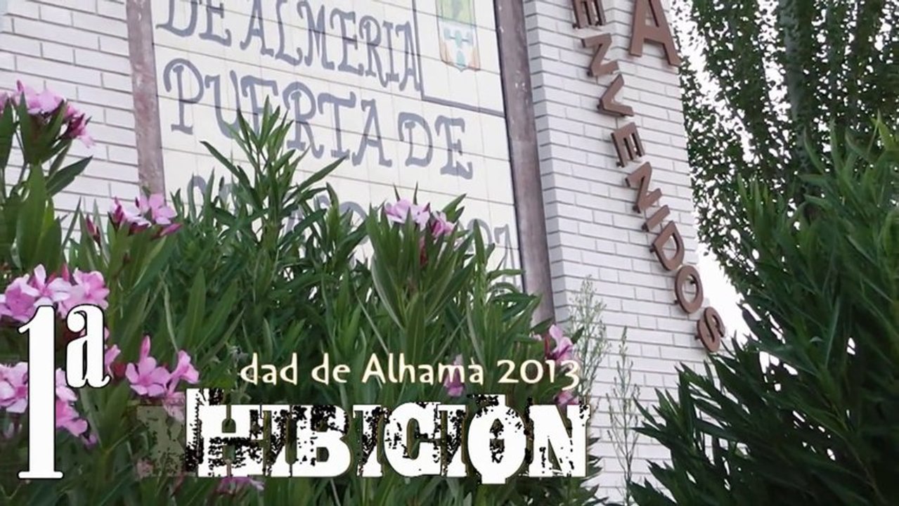 1 EXHIBICION CIUDAD DE ALHAMA 2013