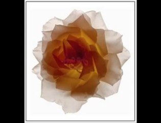 çün sana gönlüm müptela düştü