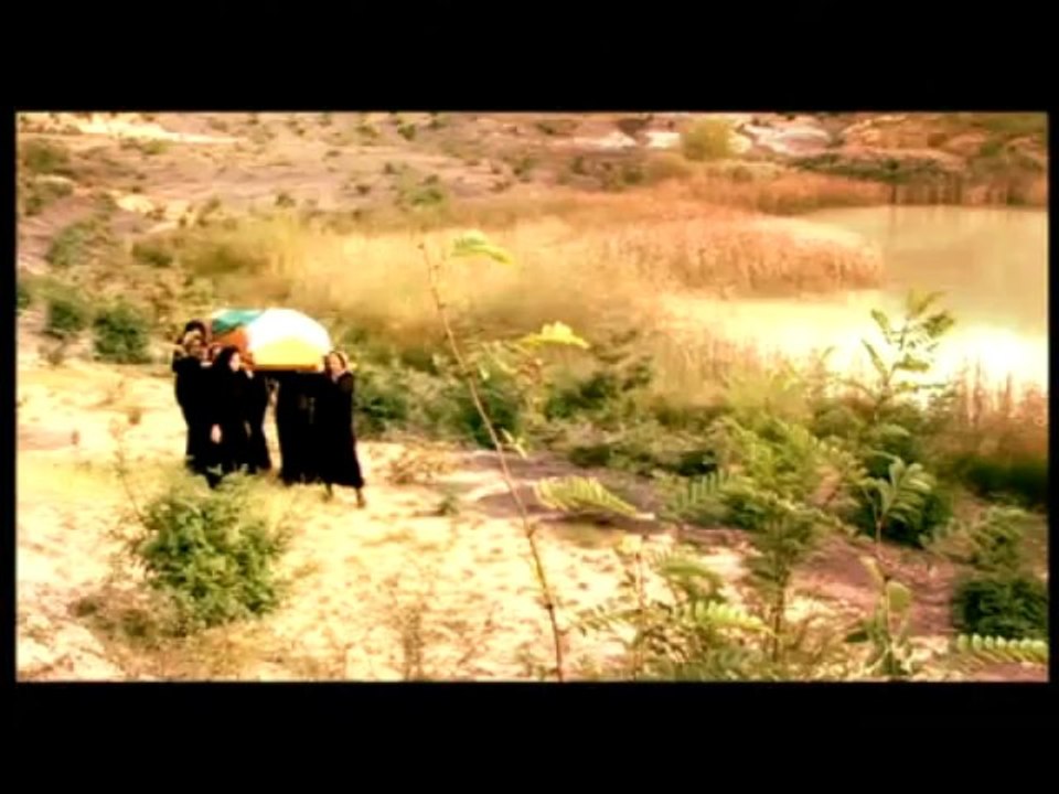 Aynur Haşhaş   -    Telli Turnam