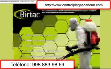 Control Plagas Cancún