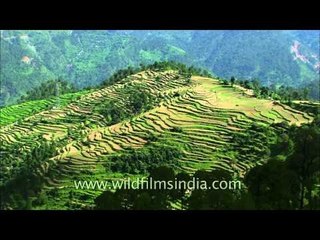 In nature's lap after nature's fury: Guptkashi